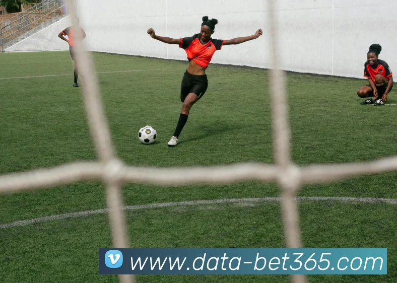 bet365平台生态图